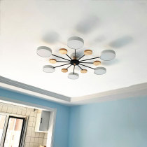 Nordic style living room ceiling lamp Modern bedroom Home simple dining room Macaron chandelier package combination lamp