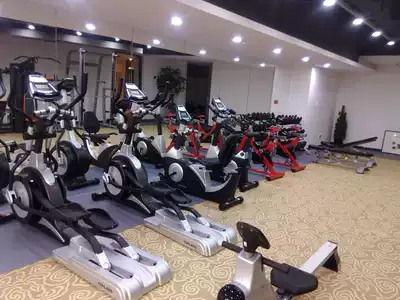 LS-commercial elliptical machine space Walker indoor Walker ultra-quiet gym commercial fitness machine