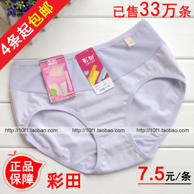 4 pieces free shipping Caitian 1103 women's pure cotton comfortable breathable buttocks mid-waist boxer briefs