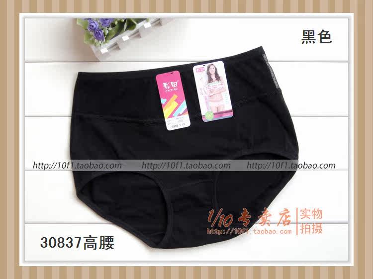 Slip 836_837 en coton - Ref 641208 Image 42