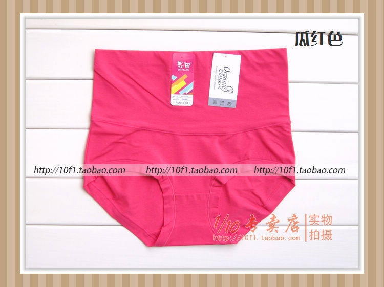 Slip en coton - Ref 642591 Image 29