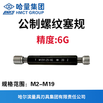 Haliang metric thread plug gauge precision 6G pass-and-stop gauge M2M2 5M3M4M5M6M7M8M10M12-M19