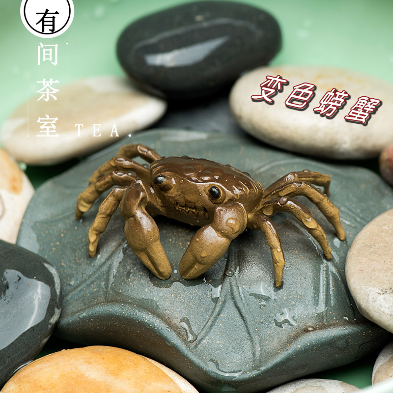 Tea pet furnished piece of purple crab color - discolored crab crab - hair crab tea play purple - sand jug accessories sculpture
