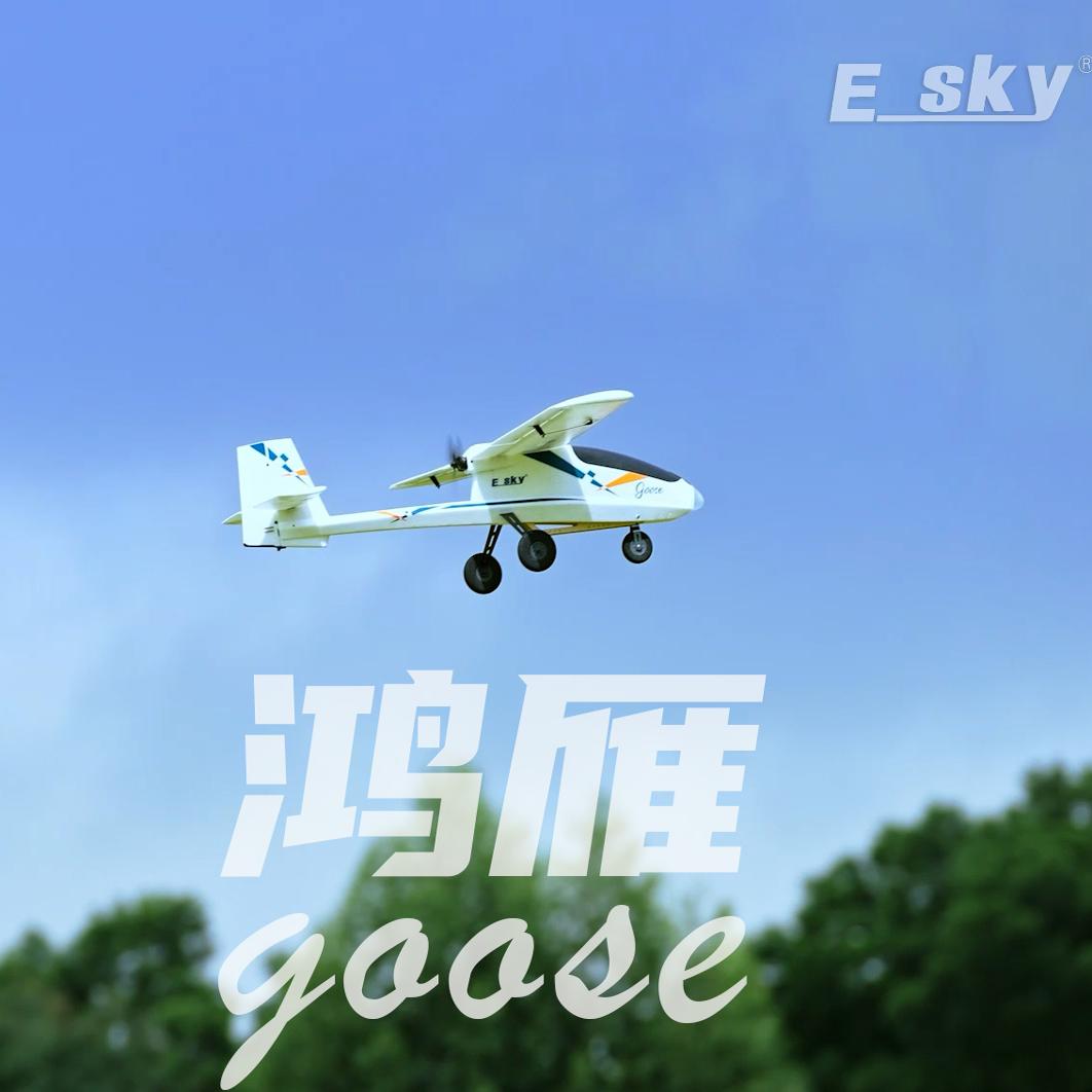 Esky易思凯鸿雁固定翼FPV空中飞行平台遥控飞机易学易飞翼展1.1米