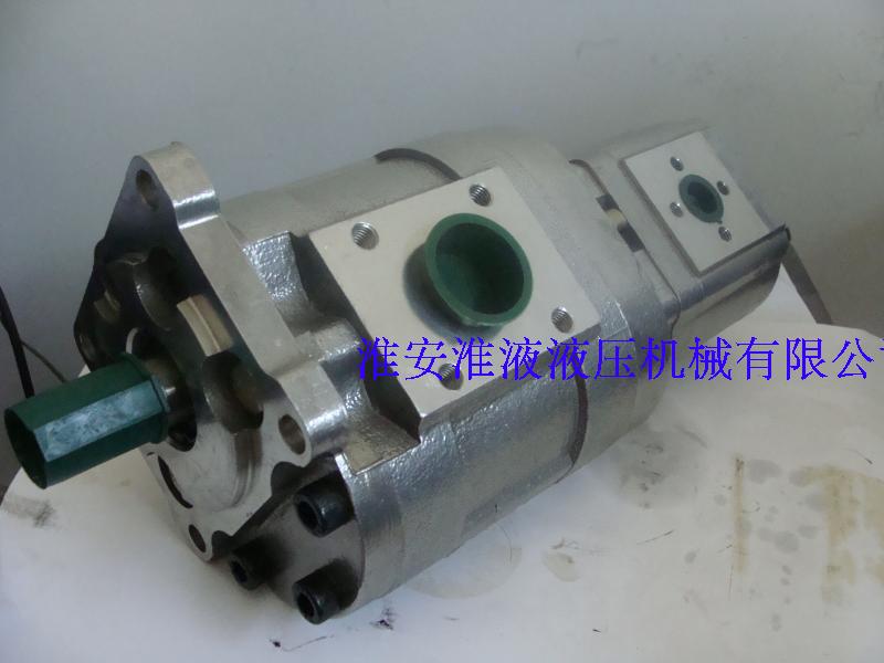 CBN-E580 E310-CFP Double gear pump