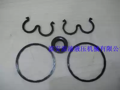 CBN-F300 series gear pump seal