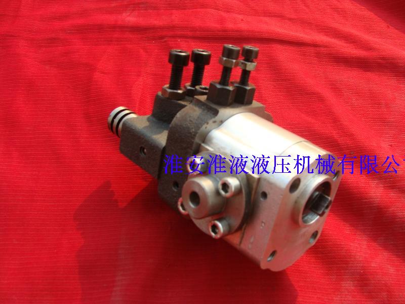 CBS-F200 Two-way Composite Gear Pump