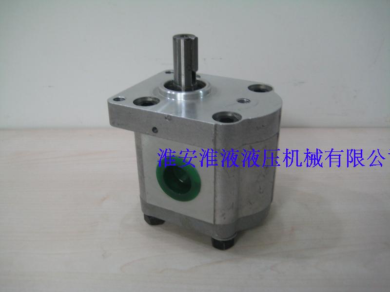 CBS-E308-CLP Two-way Gear Pump