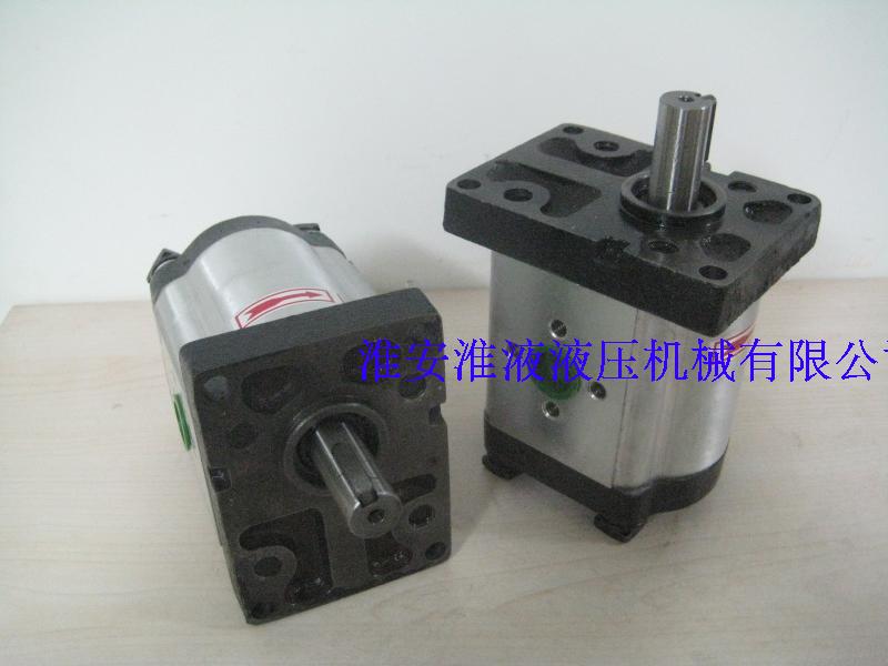 CBTt-F304 CBTt-F304 306310312314316320325 F3P7 gear pump for the CBTt-F304
