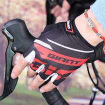 Giant Teantic Riding Gloves Half Finger Summer Male And Female Road Mountain Bike Gear Shock Absorbing