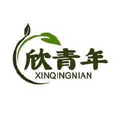 欣青年