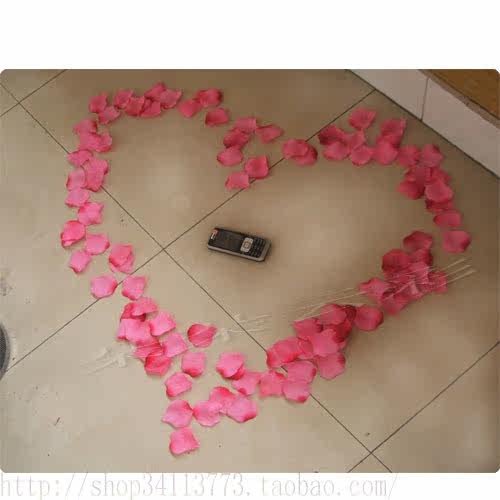 Bougie - Ref 2494159 Image 24