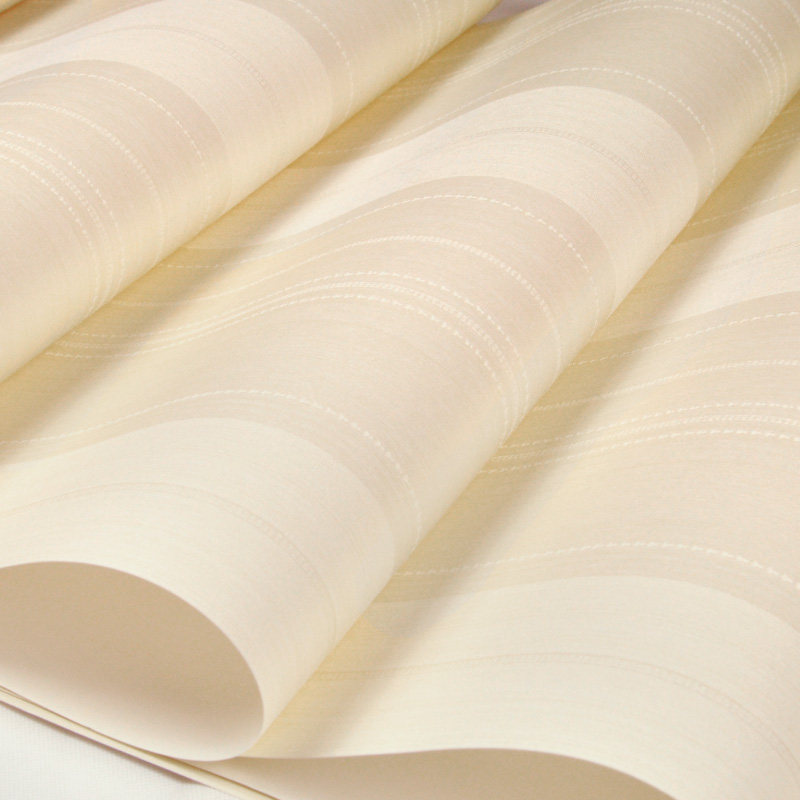 ��������ɴ���޷Ĳ�BL-6