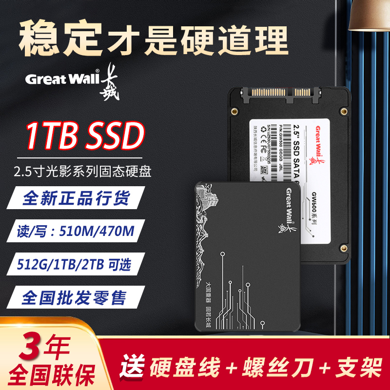 Great Wall Solid State Hard Disk 1TB 2TB Desktop Notes High Speed SSD512G New Solid State Hard Disk Wholesale