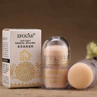 Evra EFOLAR Silk Repair Powder Mushroom Matte Control Oil Loose Powder Powder Powder - Quyền lực phấn phủ perfect diary