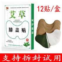 Achia knee joint paste Jiangxi Renjutang Jinniu far infrared magnetic therapy analgesic paste 12 paste box