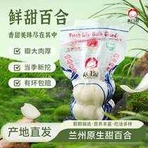 Shuangkouyuan Gansu Lanzhou fresh sweet lily 145g clean slices ready-to-eat bagged lily edible non-dried lily specialty grade
