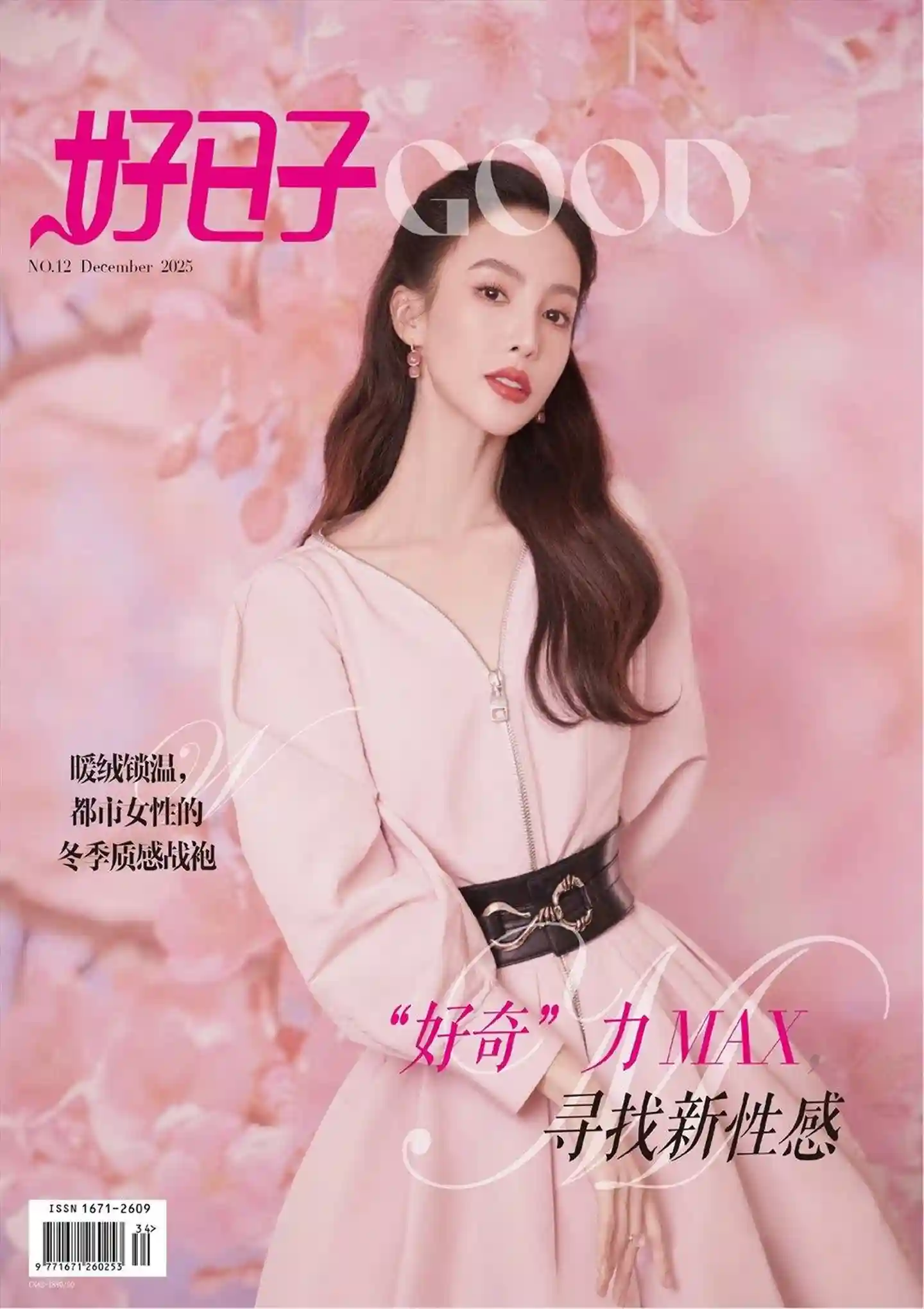 《好日子》2025年第12期全彩精校PDF杂志下载-谷酷资源网