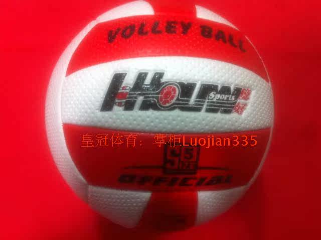 Ballon de volley-ball - Ref 2013292 Image 3