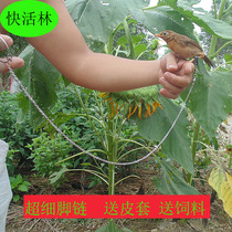 Stainless steel bird feet chain link does not hurt feet super light starlings thrush shrew red-belled Blue Bird parrot