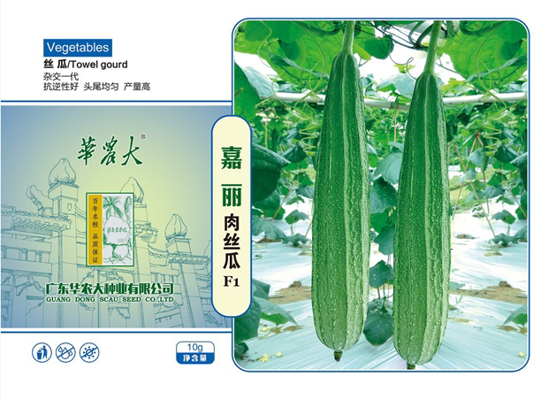 South China Agricultural University, Jiali meat loofah loofah seeds flower point thick meat disease resistance, high yield, good taste