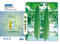 South China Agricultural University Jiali shredded melon loofah seeds flower point thick meat disease resistance high yield good taste