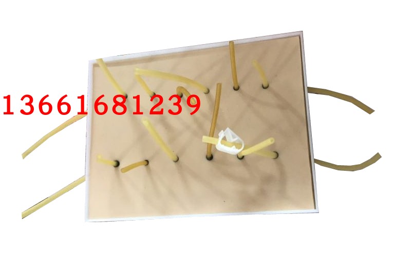 表面出血点止血考核指导模型 12出血点止血考核模块 止血结扎模型