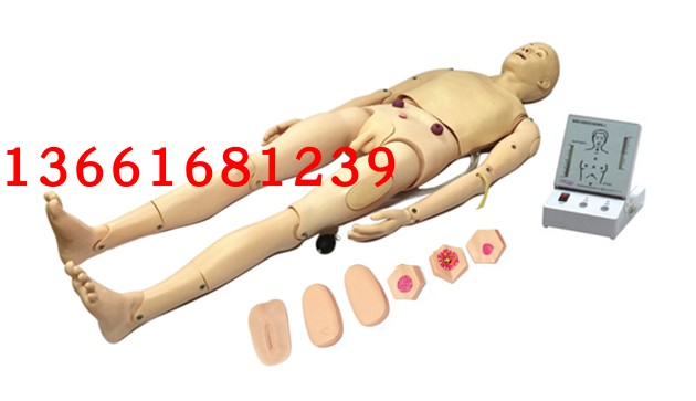 成人护理与急救综合一体训练模拟人 高级成人护理及CPR训练模型人