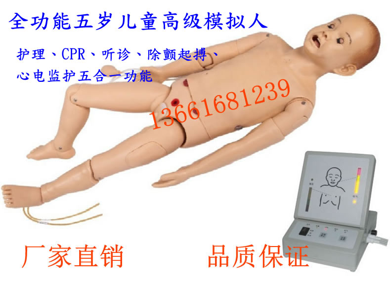 全功能五岁儿童模拟人 儿童护理CPR急救模拟人T534