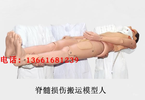 脊柱损伤搬运模拟人 高级脊髓损伤搬运模型人 脊柱损伤搬运模型