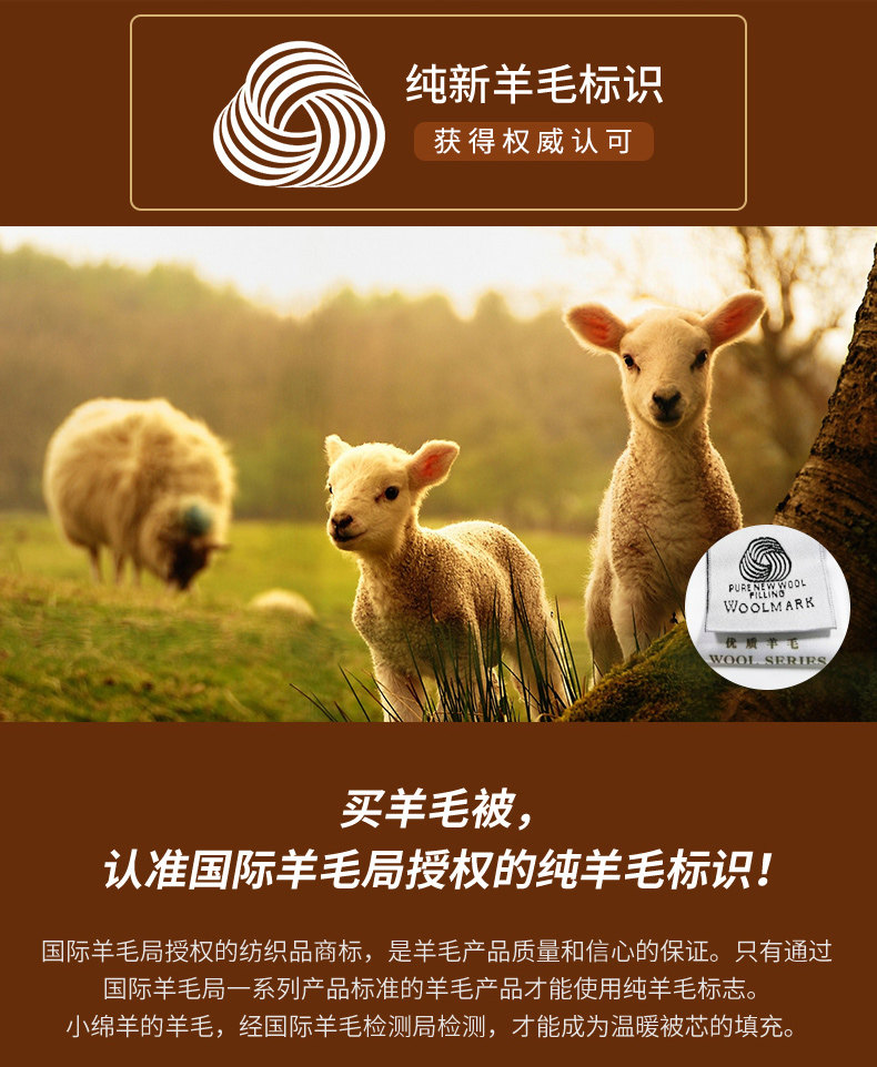 小绵羊 冬季纯羊毛被 澳洲细羊毛填充 1.6*2.1m/4.8斤 图1
