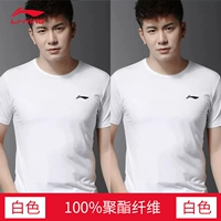 Быстро высушенная сборный/белый (модель) с двумя частями (модель)