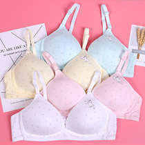 Young Girl Bra Hair Development High School College Students Underwear No Steel Ring Small Chest Coaling Pure Cotton Bra Double Row Buttoned Milk Cover