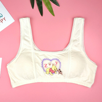 12-14-year-old girls pureat development stage student underwear with chest pad mold Cup shoulder strap wrap chest without steel ring bra