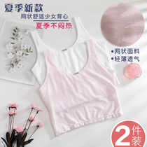Girl underwear Cotton Development period students small vest sleeveless inside wear anti-bump bra adolescent girl chest