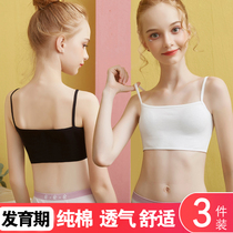 Developmental student underwear cotton camisole vest girl growth vest adolescent girl bra black chest