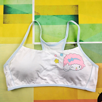 Student Sports Bra Girl 14 Year Old Hair Development Underwear With Mold Cup Work-Back Fitness Damping Bra No Steel Ring