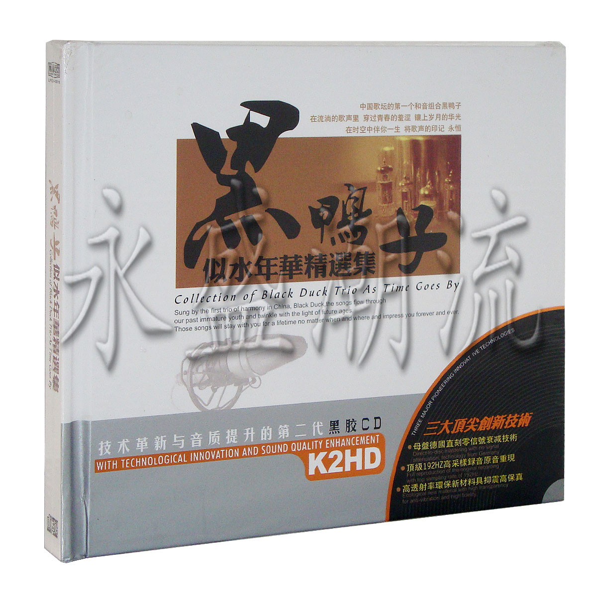 【正版现货】黑鸭子 似水年华精选集 2CD 黑胶精选 星文唱片 车载