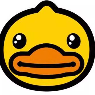 BDuck小黄鸭总部童鞋童装清仓的LOGO