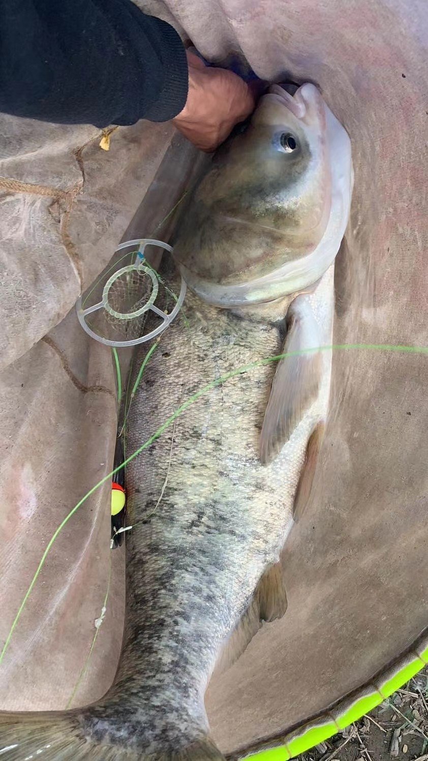 Pure handmade self-made nylon mesh bag hand rod long rod gun rod silver carp bighead flower silver carp fishing group anti-winding water monster