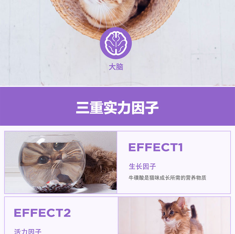 仕 咿 -Complex Taurine viên dinh dưỡng cho mèo để bảo vệ cơ tim khỏe mạnh - Cat / Dog Health bổ sung Sữa dành cho mèo con mới đẻ