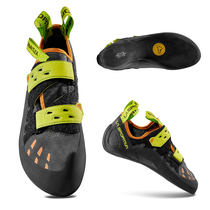 La Sportiva entry-level climbing shoes Tarantula 30J new model imported from Italy