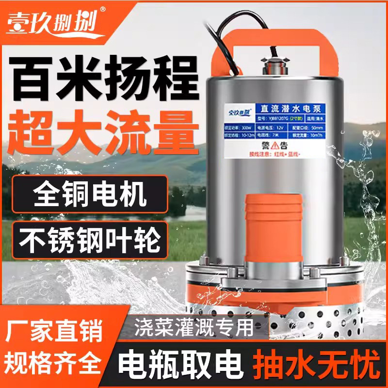 Dc Submersible Pump 48V60V72 Volt Battery Electric Vehicle Water Pump 12V24V Small Irrigation Agricultural Water Pump