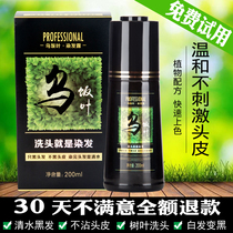 Black rice leaf wash black shampoo Natural black plant no irritation does not hurt hair water hair dye