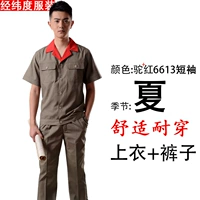 Верблюд Красный 6613 Короткий костюм