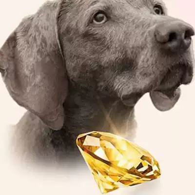 Pet ashes Diamond gemstone necklace Pendant ring jewelry Fetal hair teeth memorial custom Q planet import