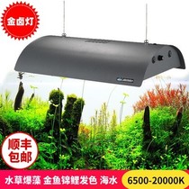 Odyssey metal halide lamp fish tank lamp lighting koi color-enhancing algae seawater metal halide aquatic plant lamp chandelier 150W