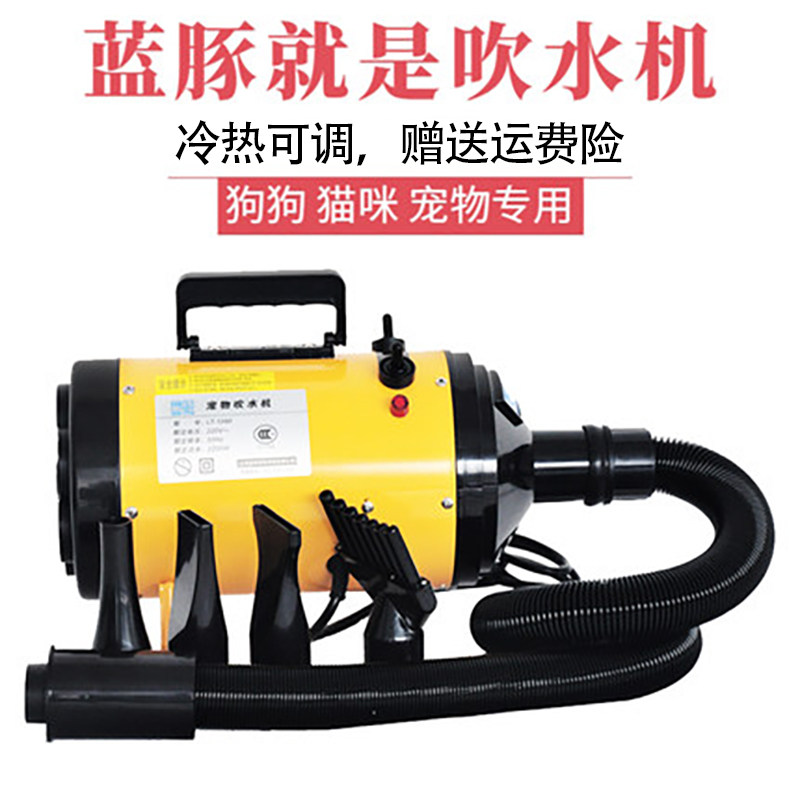 Blue guinea Pet Blow Water Machine Dog Hair Dryer High Power Silent Large Dog Kitty Special Drying Blowing Fur God