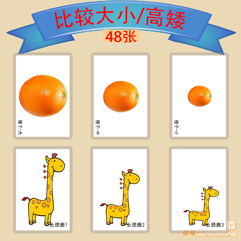 Comparison of size, height, length, language, developmental delay, autism, autism, rehabilitation training card, teaching aids