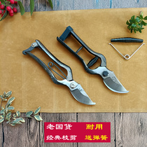 Forging old pruning pruning shears fruit tree scissors household durable branch scissors gardening scissors send spring protection oil